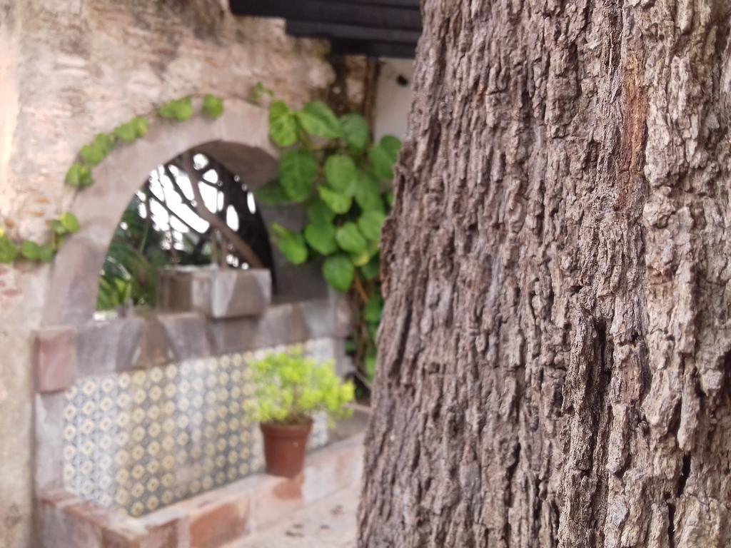 Hotel & Spa Dona Urraca San Miguel De Allende Ngoại thất bức ảnh